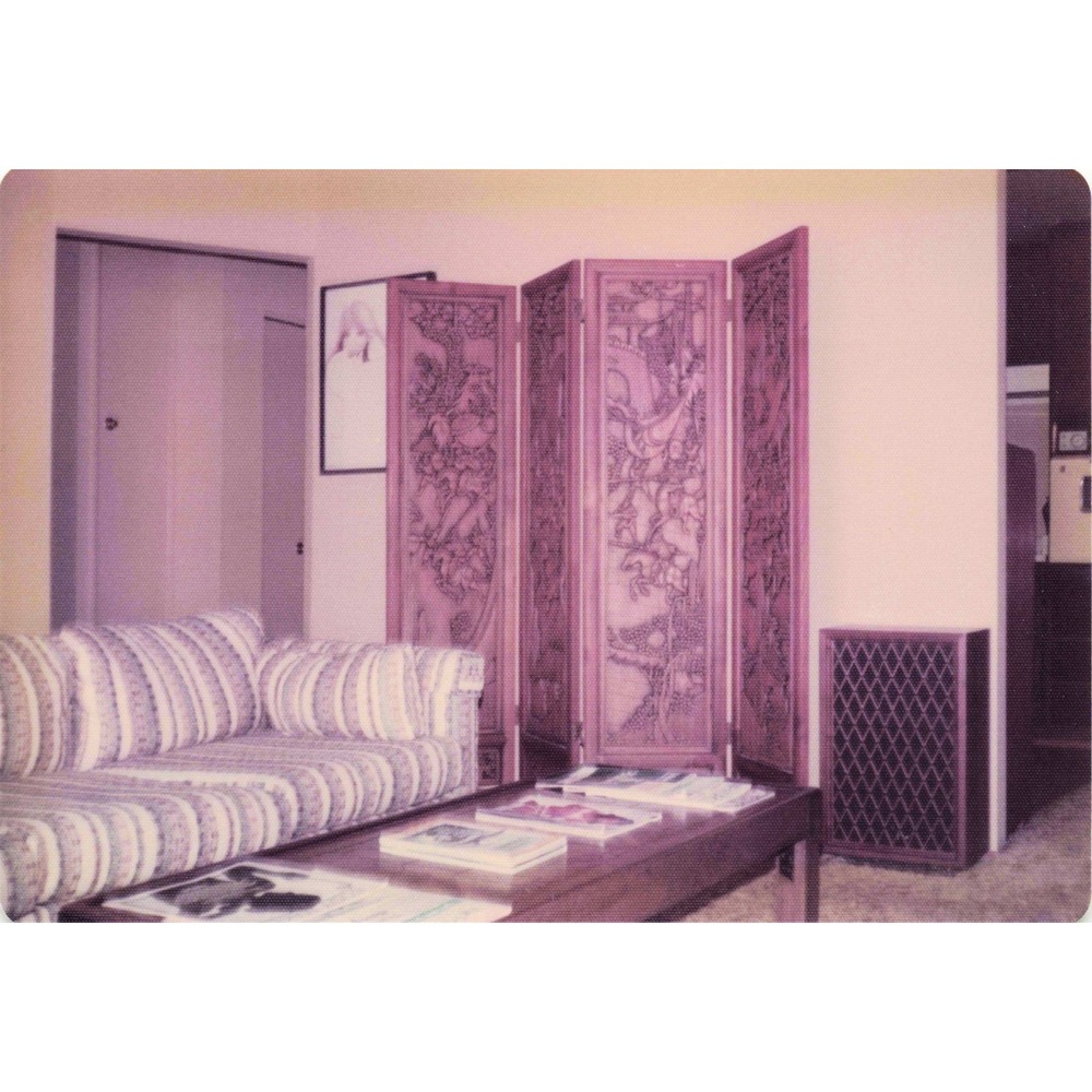 Vintage 1970s Home Interiors Lot of 8 Photos Asian Decor USAF 3.5x5 - Picture 2 of 8